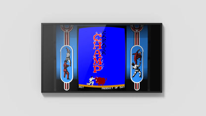 Polymega ポリメガ コレクション Vol. 2 空手道 Karate Champ Data East データイースト アーケード 格闘 アクション レトロゲーム 互換機 物理CDメディア