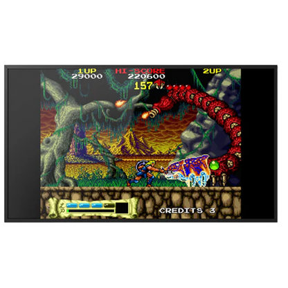 Polymega ポリメガ コレクション Vol. 14 アスティアナックス Astyanax ザ・ロード・オブ・キング Jaleco ジャレコ 彩京 アーケード アクション レトロゲーム 互換機 物理CDメディア