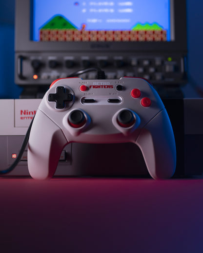 Retro Fighters JAB Gamepad（ジャブ ゲームパッド）｜NES/PC/Mac対応 次世代有線ゲームパッド 改良テクスチャーDパッド アナログスティック搭載 ターボ機能 ショルダーボタン＆トリガー 6フィートロングケーブル グレー