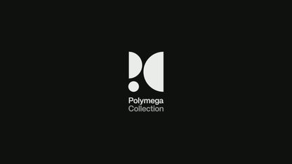 Polymega ポリメガ コレクション Vol. 13 戦国ブレード Sengoku Blade 戦国エース 彩京 Psikyo ジャレコ アーケード シューティング レトロゲーム 互換機 物理CDメディア
