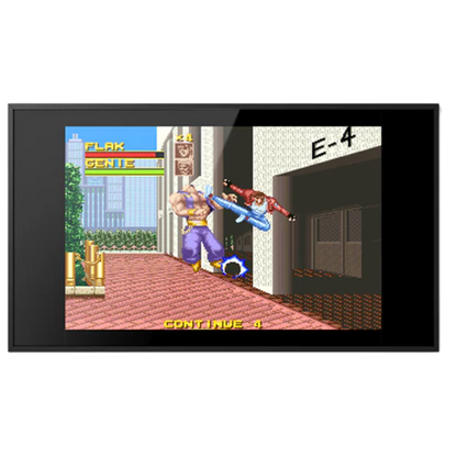 Polymega ポリメガ コレクション Vol. 18 ライバルターフ Rival Turf ラッシング・ビート Jaleco ジャレコ アクション ベルトスクロール レトロゲーム 互換機 物理CDメディア